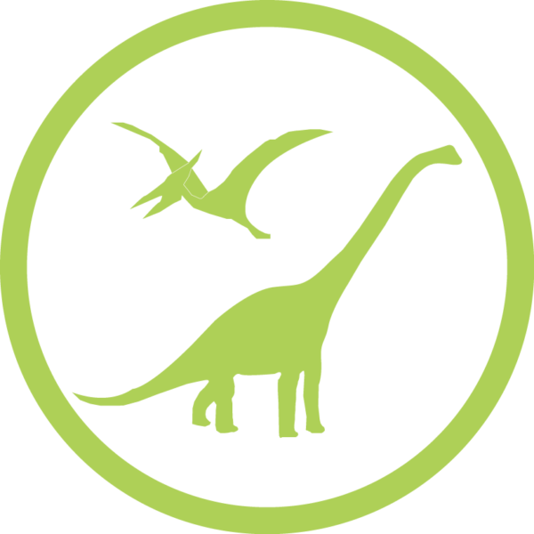 Atelier anniversaire "Dinosaures et Fossiles" au MHN